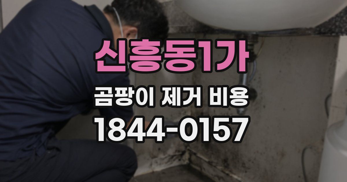 신흥동1가 곰팡이 제거 비용