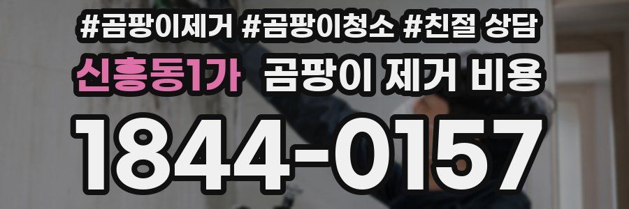 신흥동1가 곰팡이 제거 비용