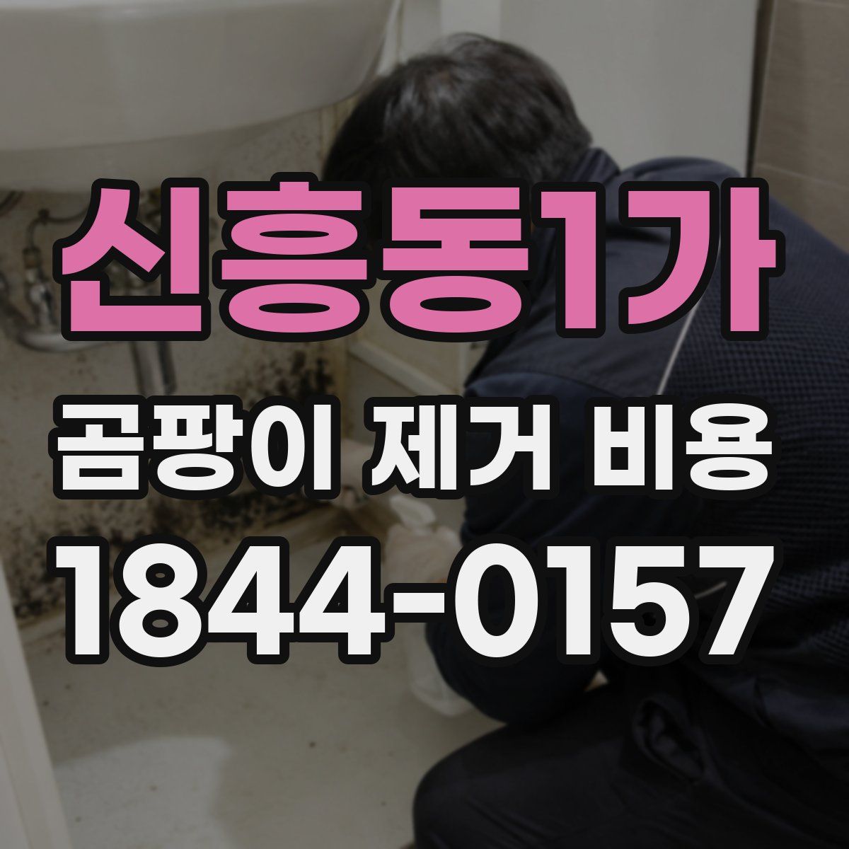 신흥동1가 곰팡이 제거 비용