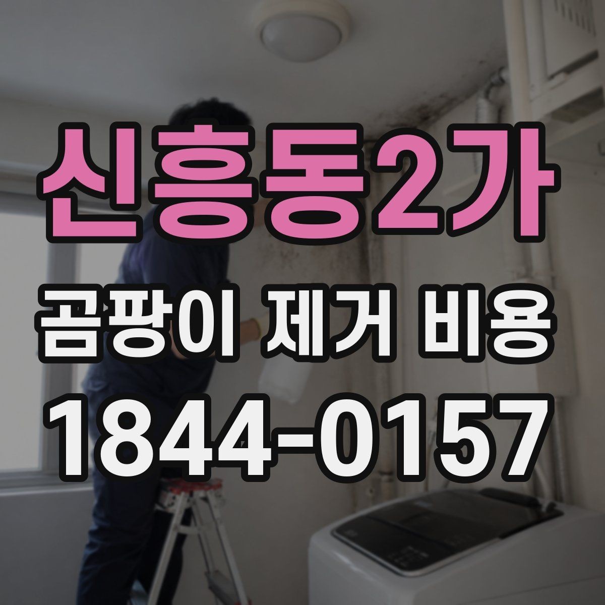 신흥동2가 곰팡이 제거 비용 문제 원인부터 확인하는 것이 중요한 이유