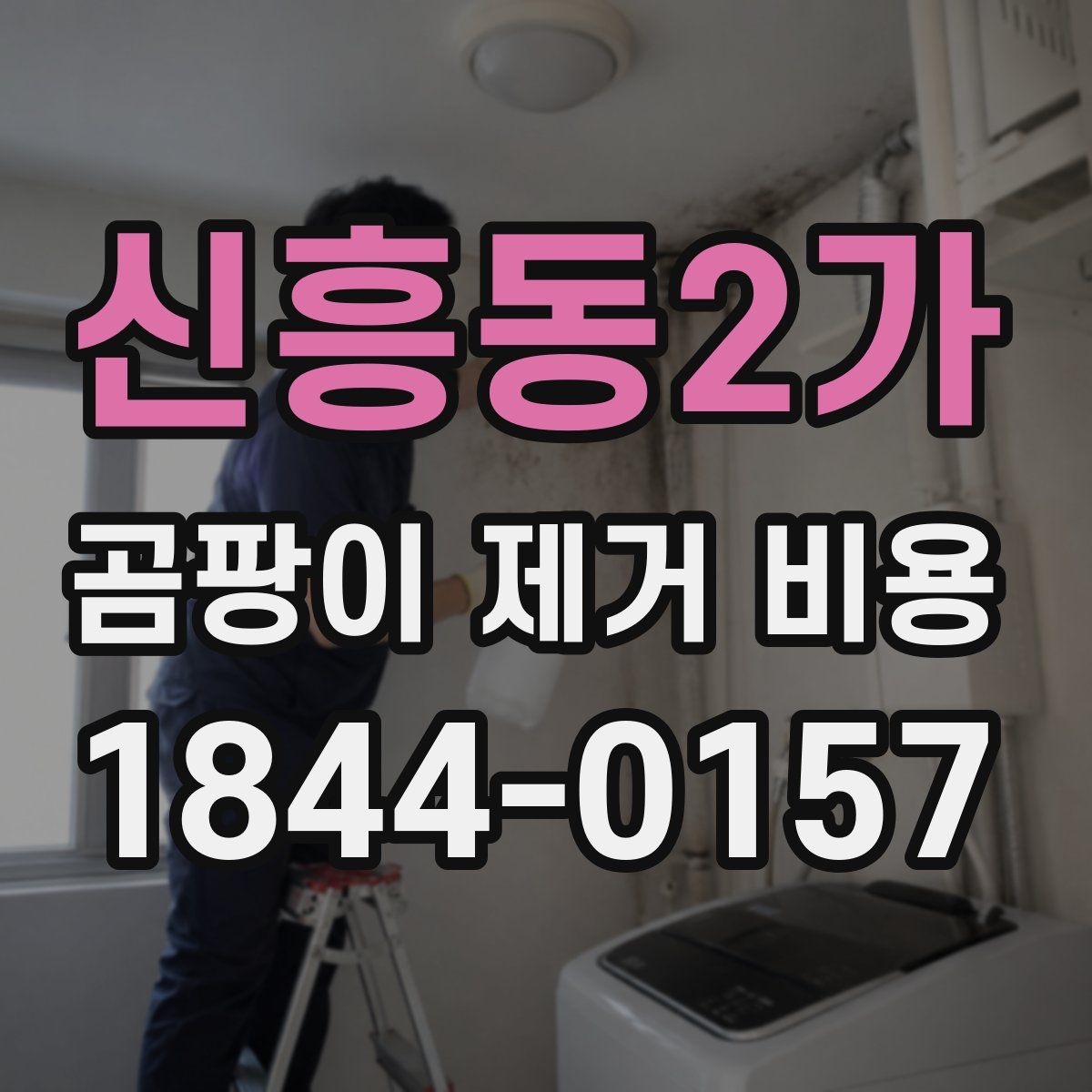 신흥동2가 곰팡이 제거 비용
