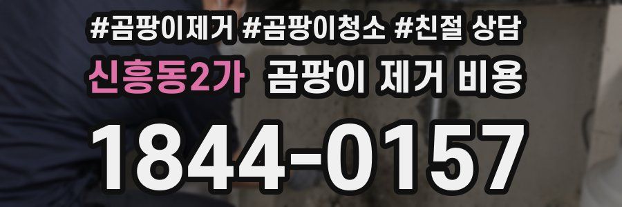 신흥동2가 곰팡이 제거 비용