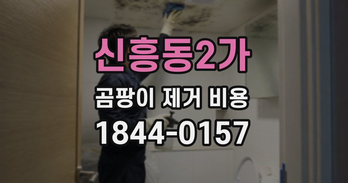 신흥동2가 곰팡이 제거 비용
