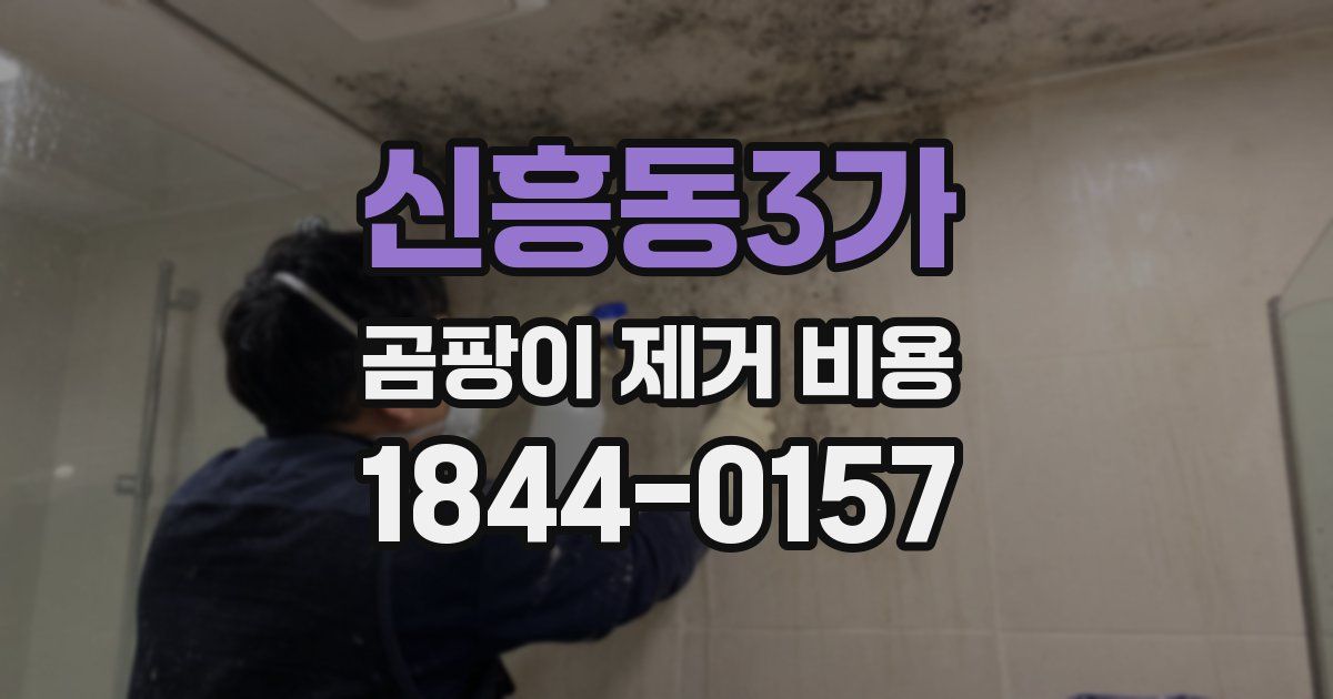 신흥동3가 곰팡이 제거 비용