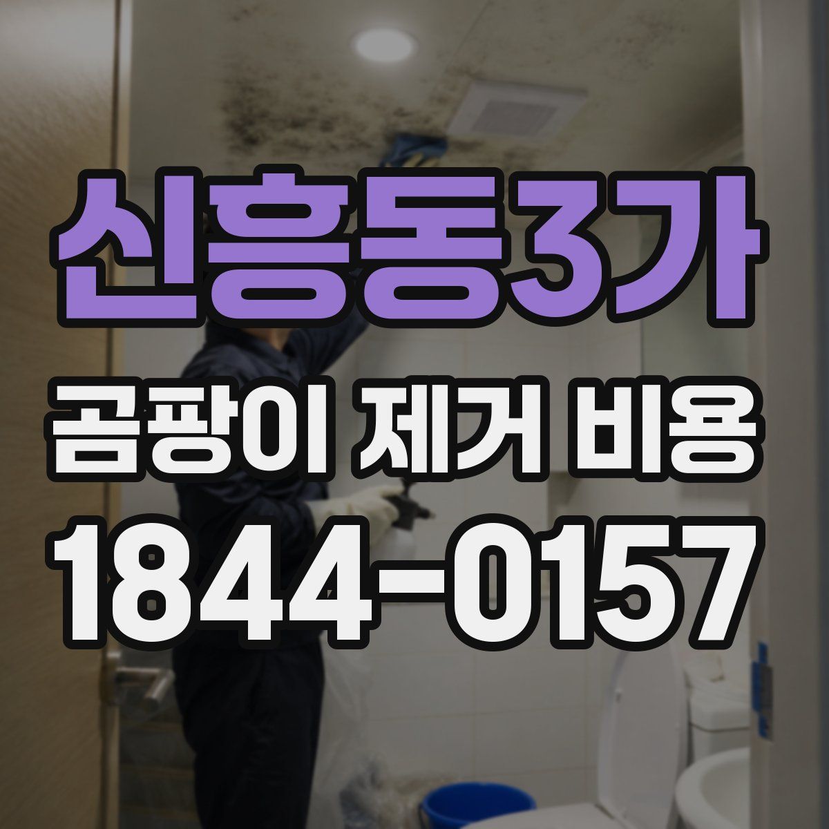신흥동3가 곰팡이 제거 비용
