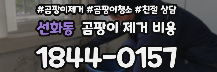 선화동 곰팡이 제거 비용