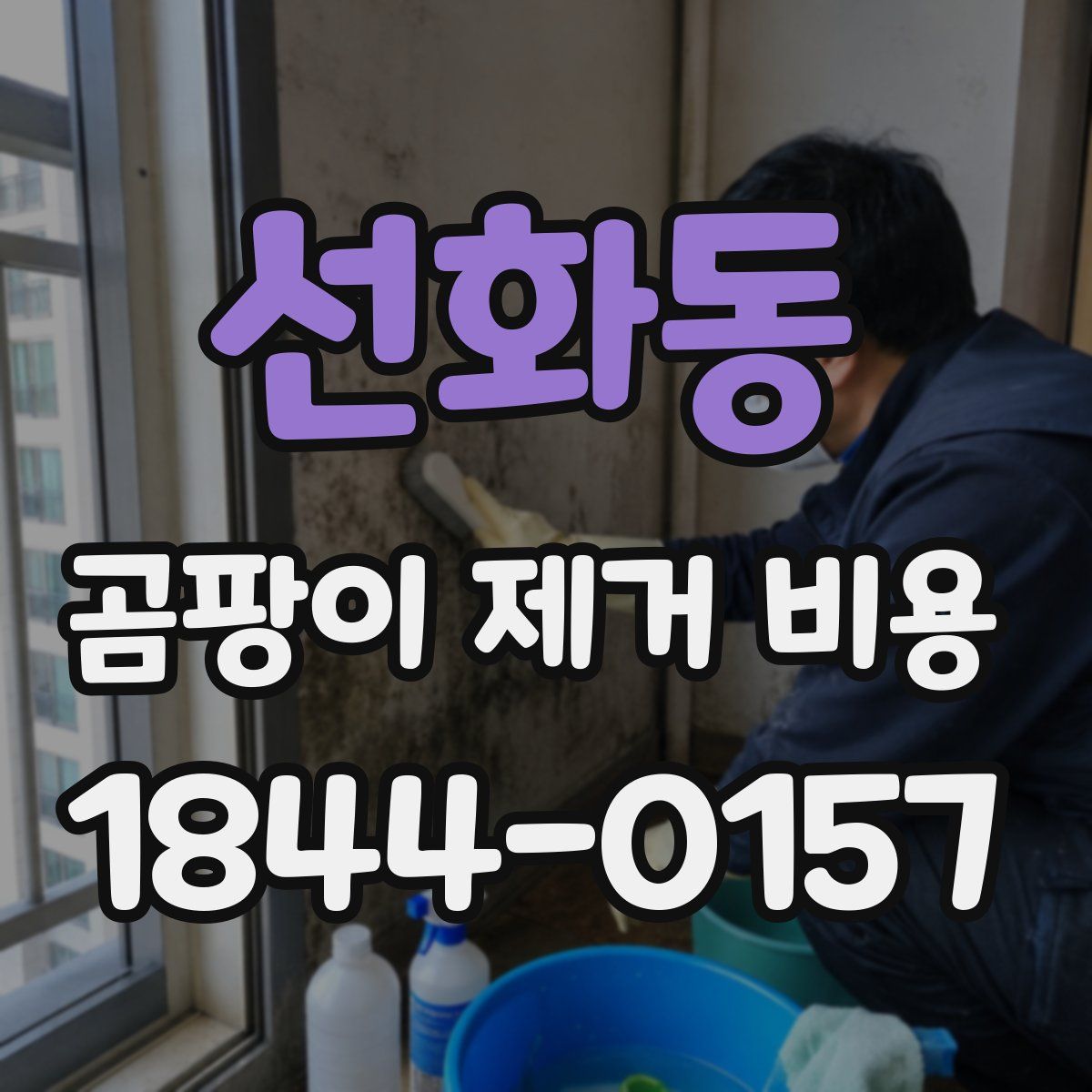선화동 곰팡이 제거 비용