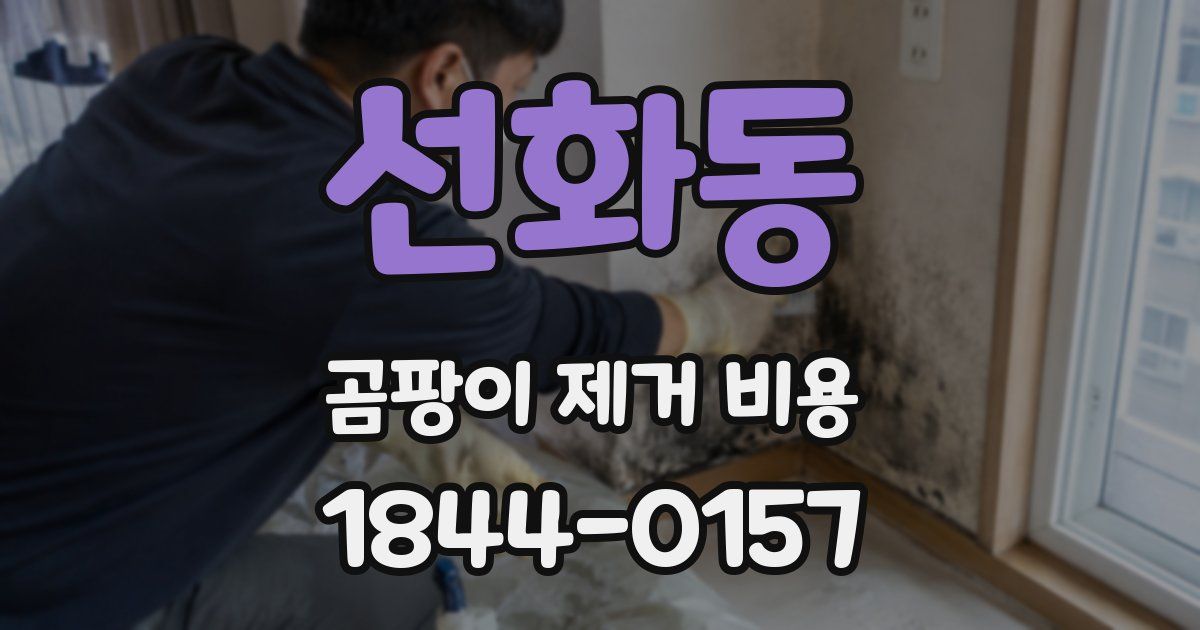 선화동 곰팡이 제거 비용