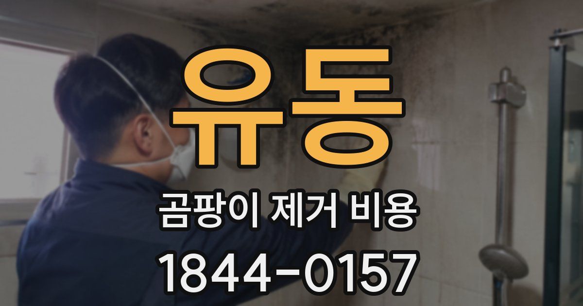유동 곰팡이 제거 비용