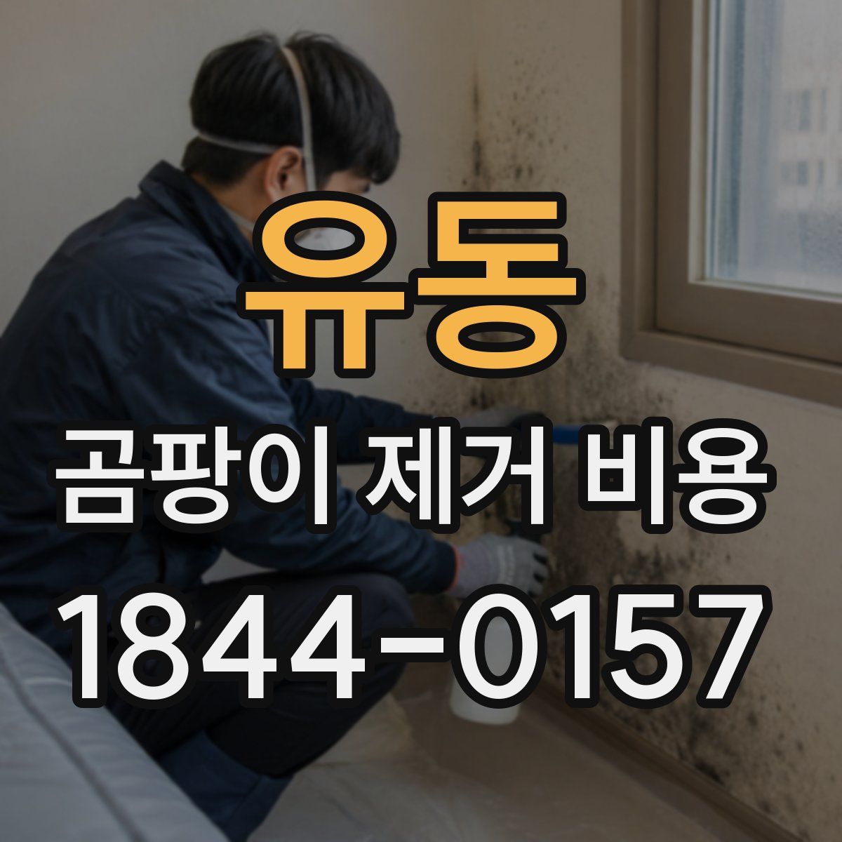 유동 곰팡이 제거 비용