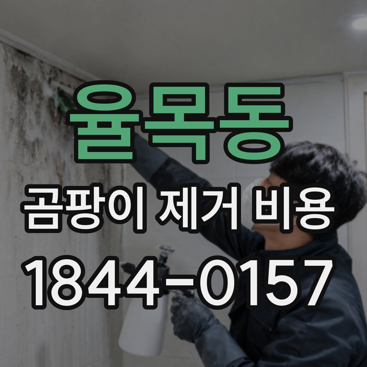 율목동 곰팡이 제거 비용 견적서에서 확인할 세부 내역