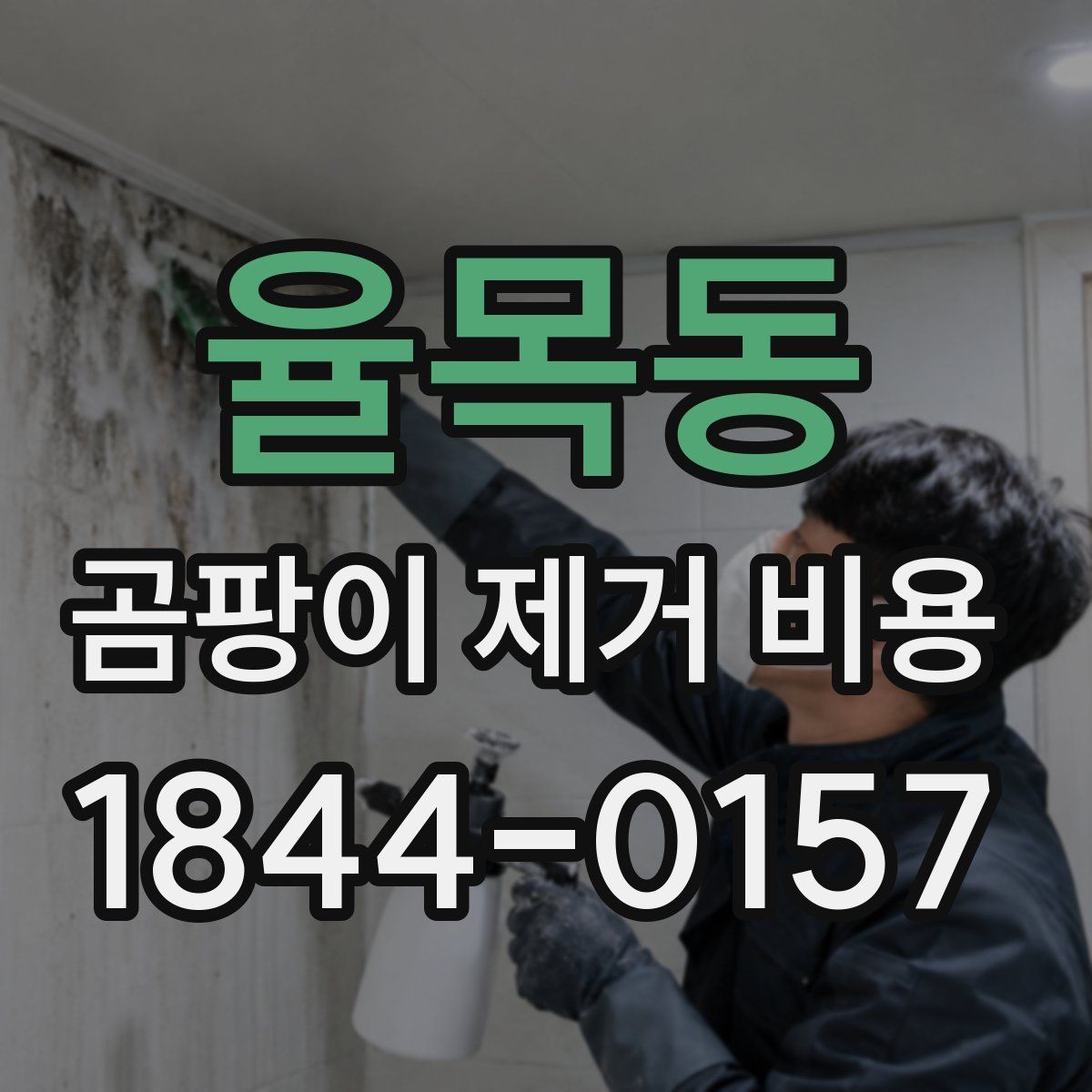 율목동 곰팡이 제거 비용