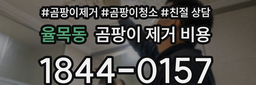 율목동 곰팡이 제거 비용