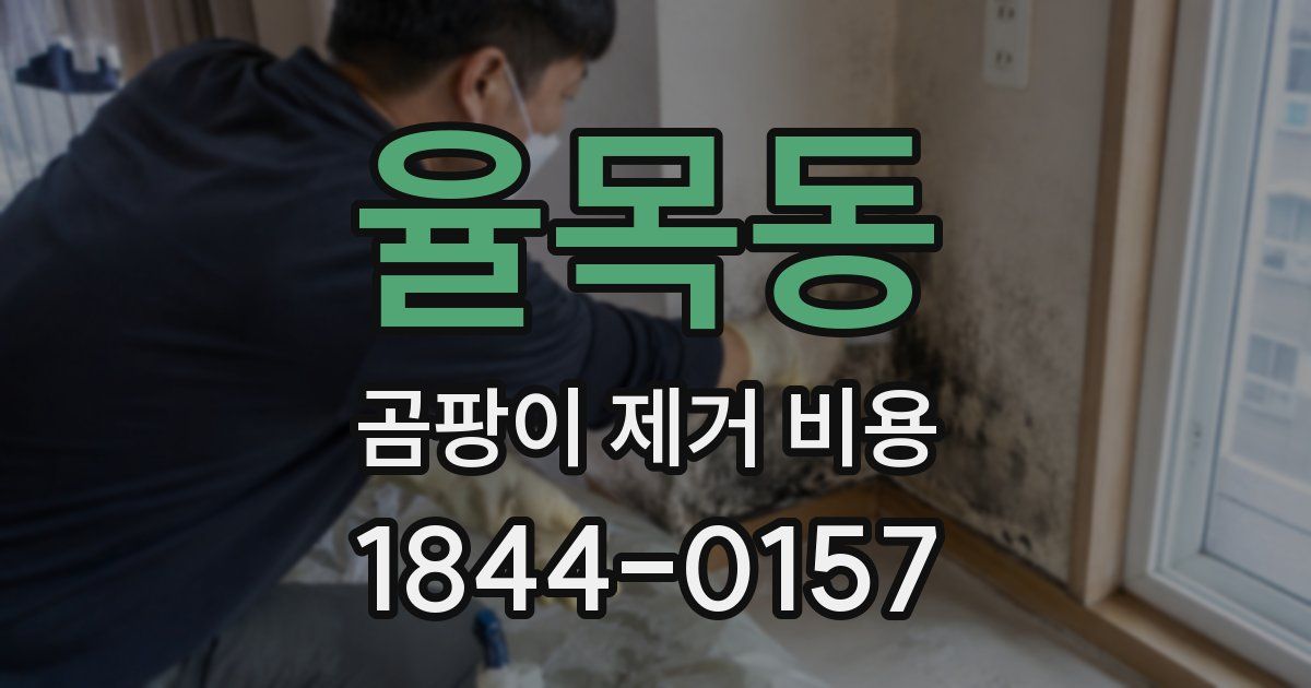 율목동 곰팡이 제거 비용
