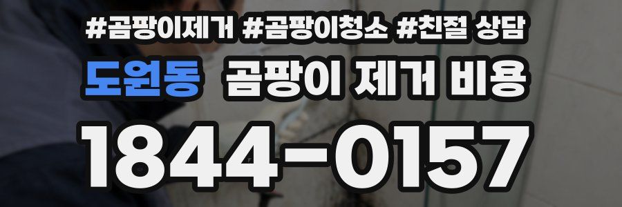 도원동 곰팡이 제거 비용