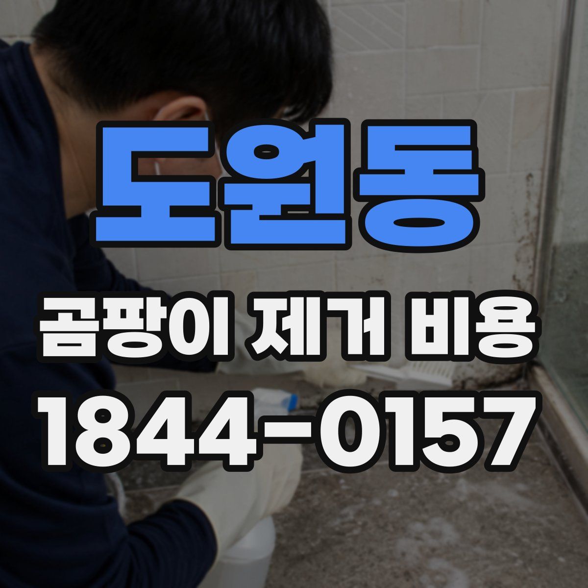 도원동 곰팡이 제거 비용