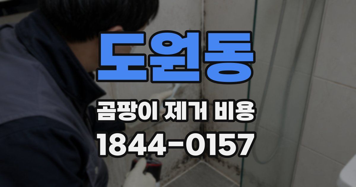 도원동 곰팡이 제거 비용