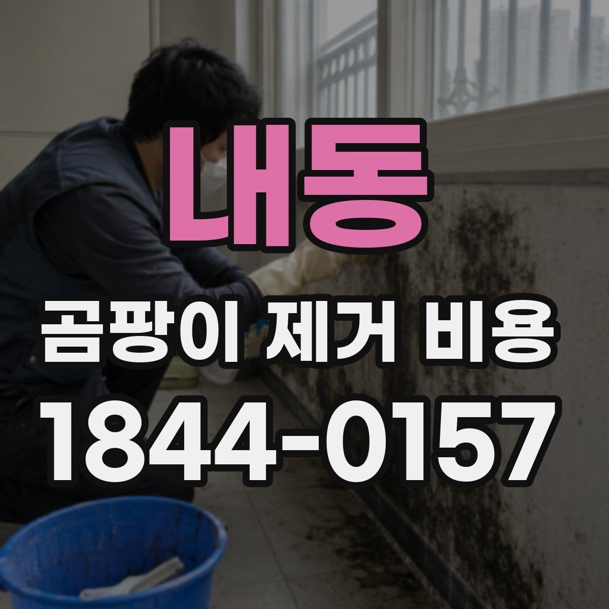 내동 곰팡이 제거 비용 사전 점검이 중요한 이유