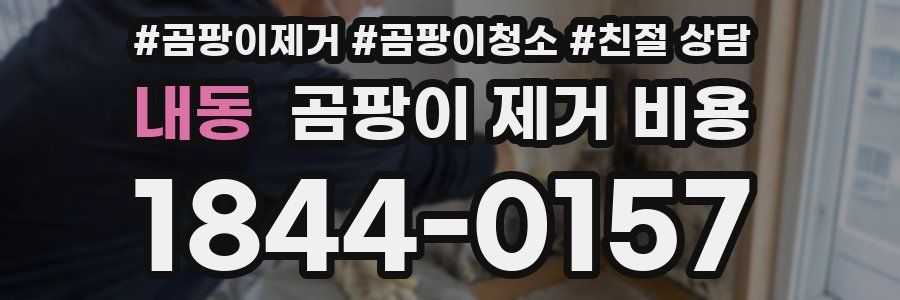 내동 곰팡이 제거 비용