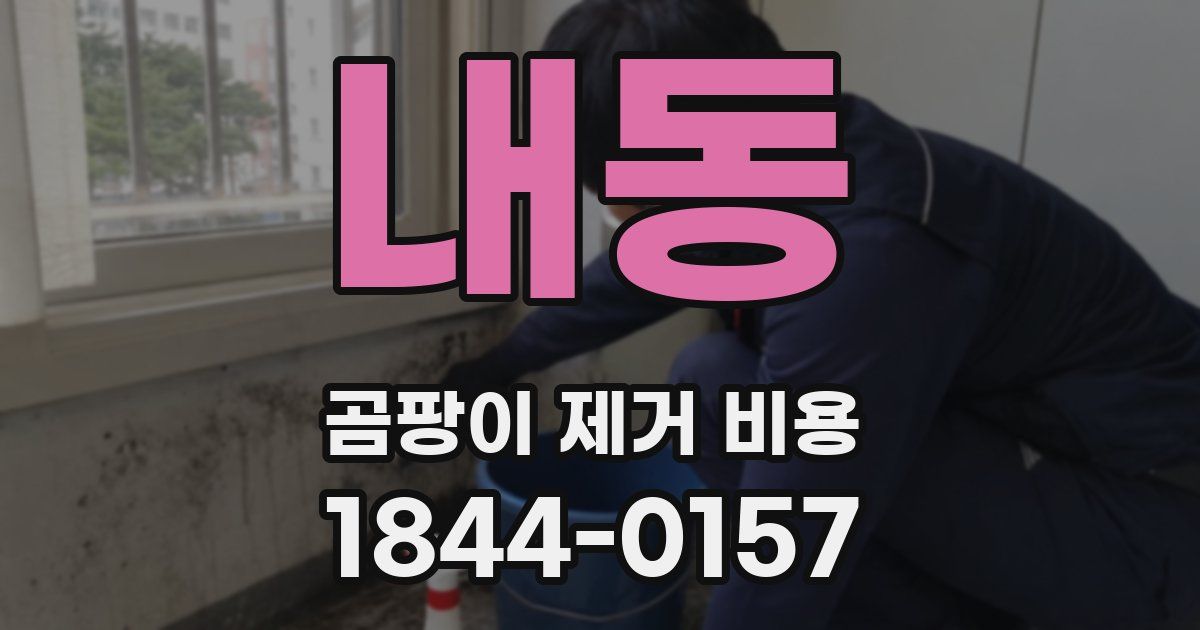 내동 곰팡이 제거 비용