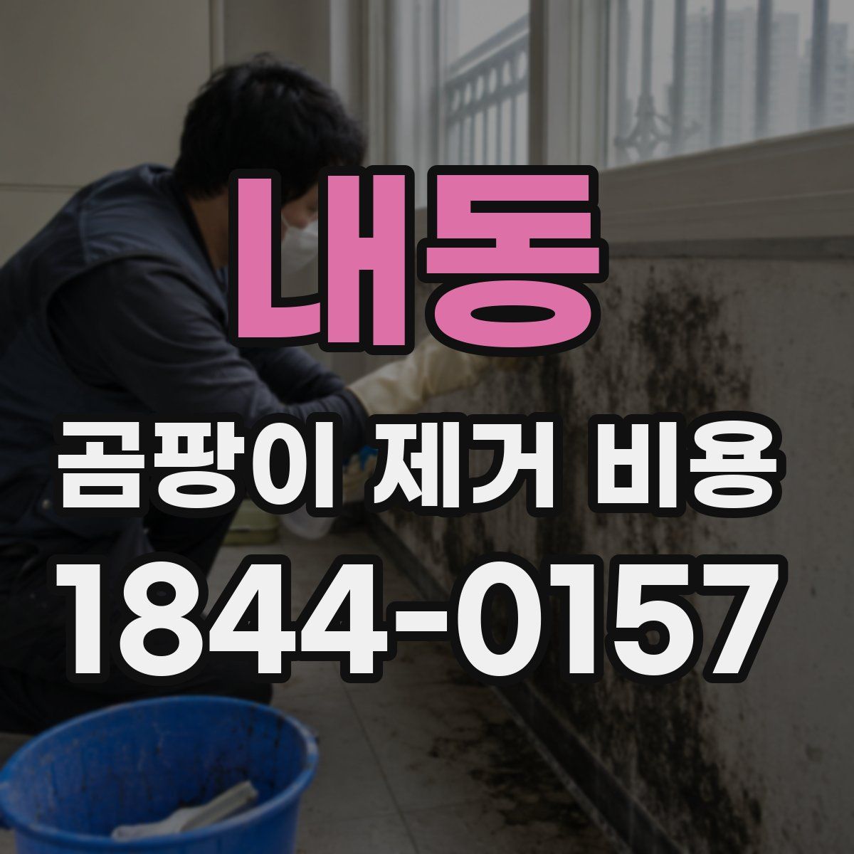 내동 곰팡이 제거 비용