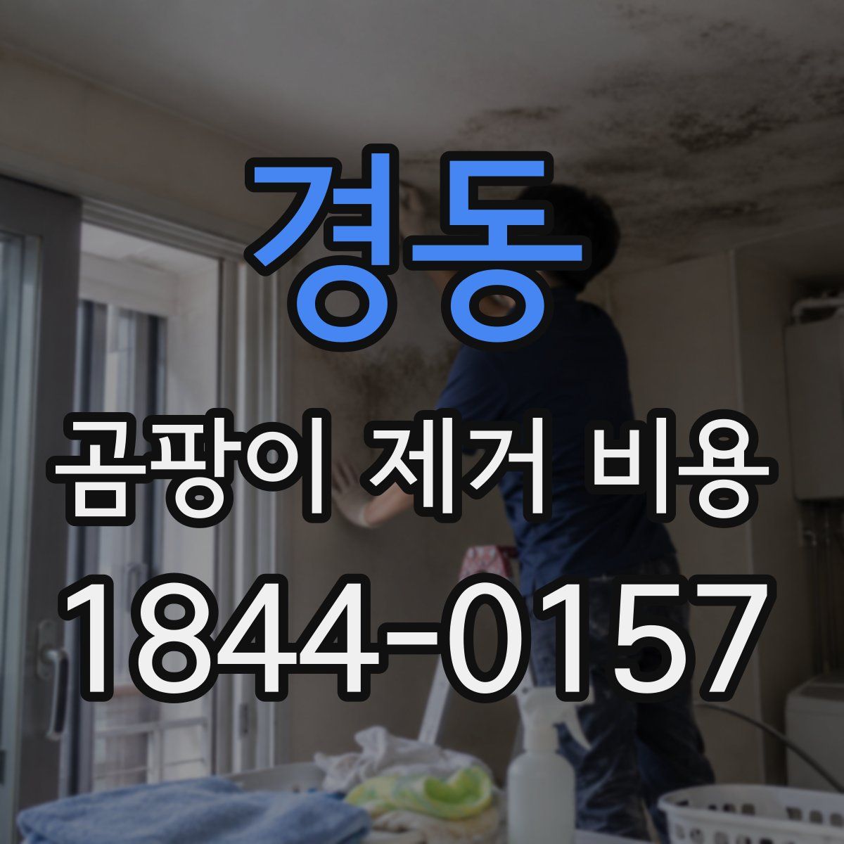 경동 곰팡이 제거 비용