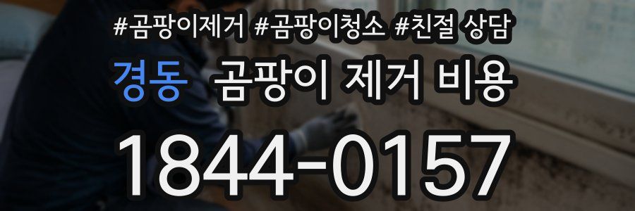 경동 곰팡이 제거 비용