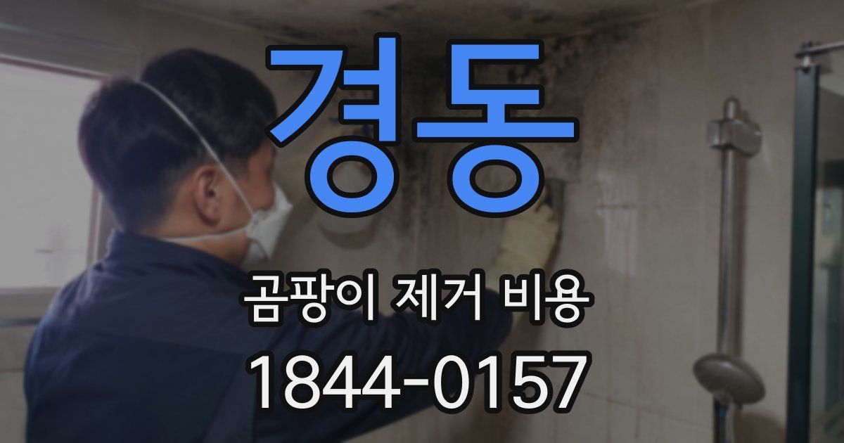 경동 곰팡이 제거 비용