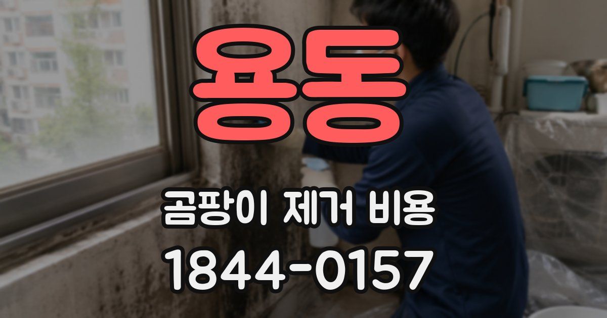 용동 곰팡이 제거 비용