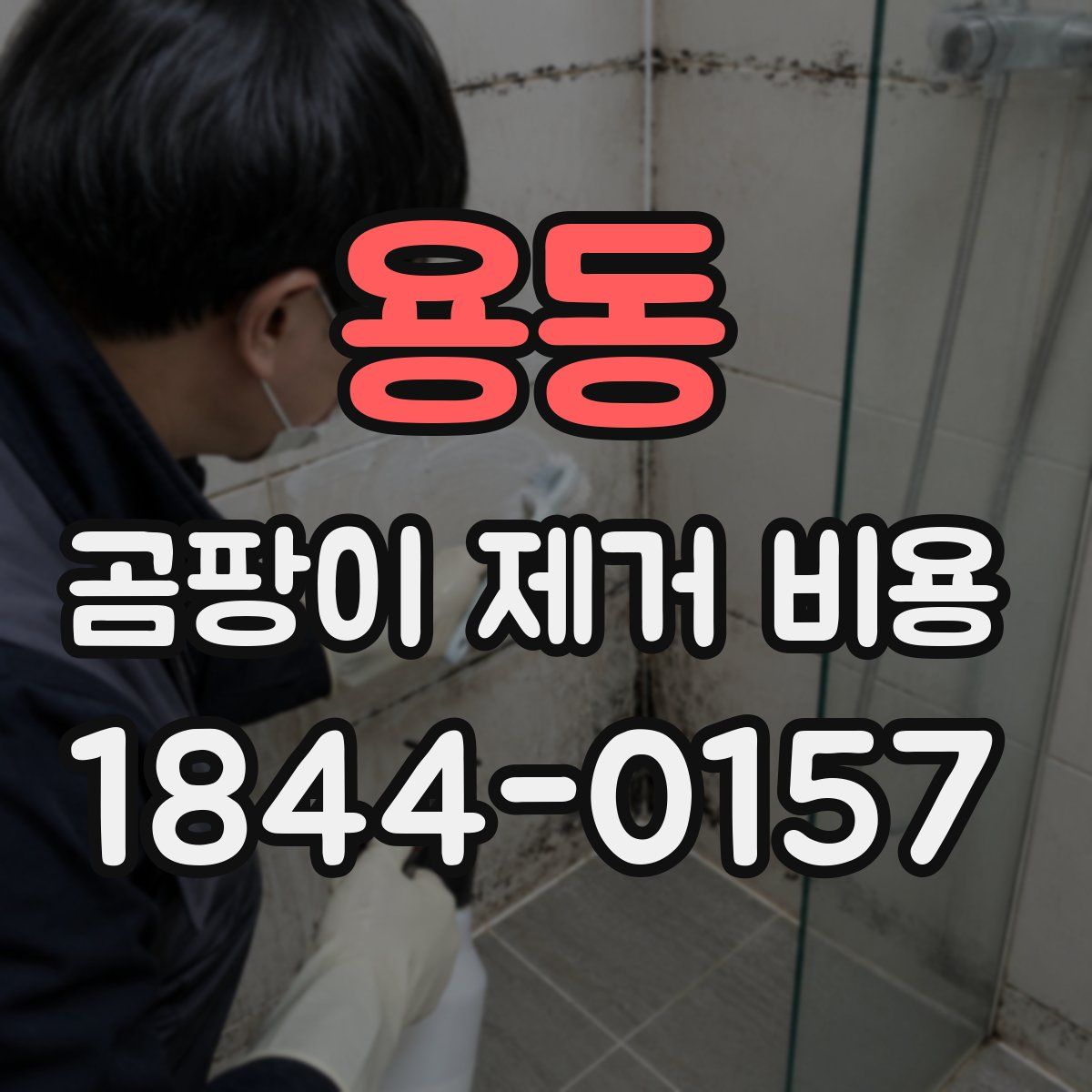 용동 곰팡이 제거 비용