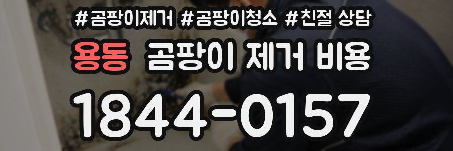 용동 곰팡이 제거 비용