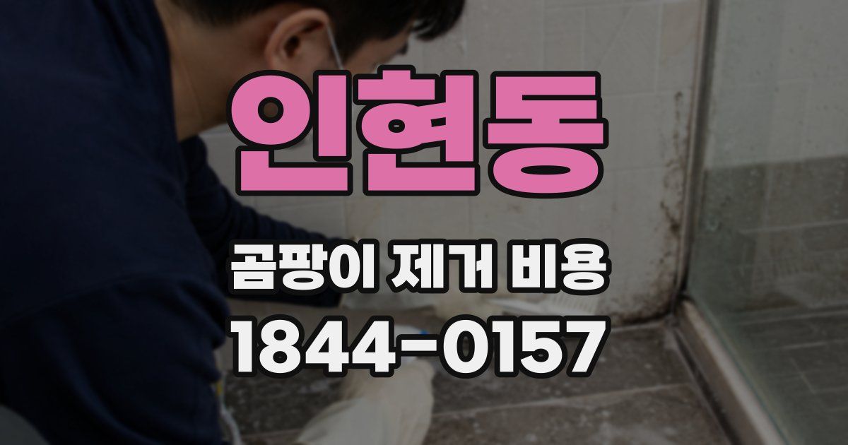 인현동 곰팡이 제거 비용
