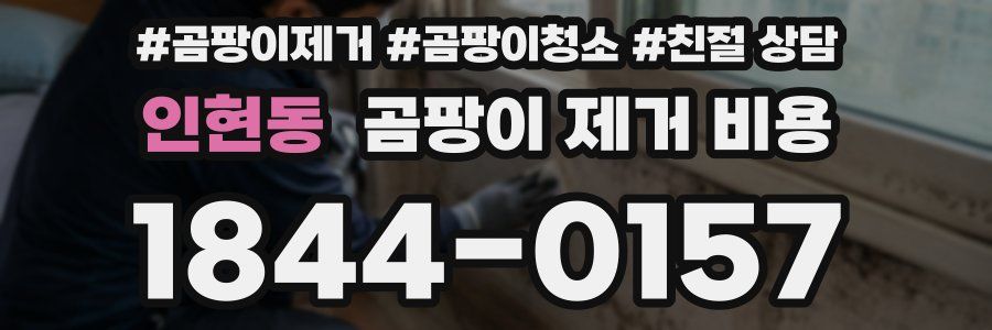 인현동 곰팡이 제거 비용