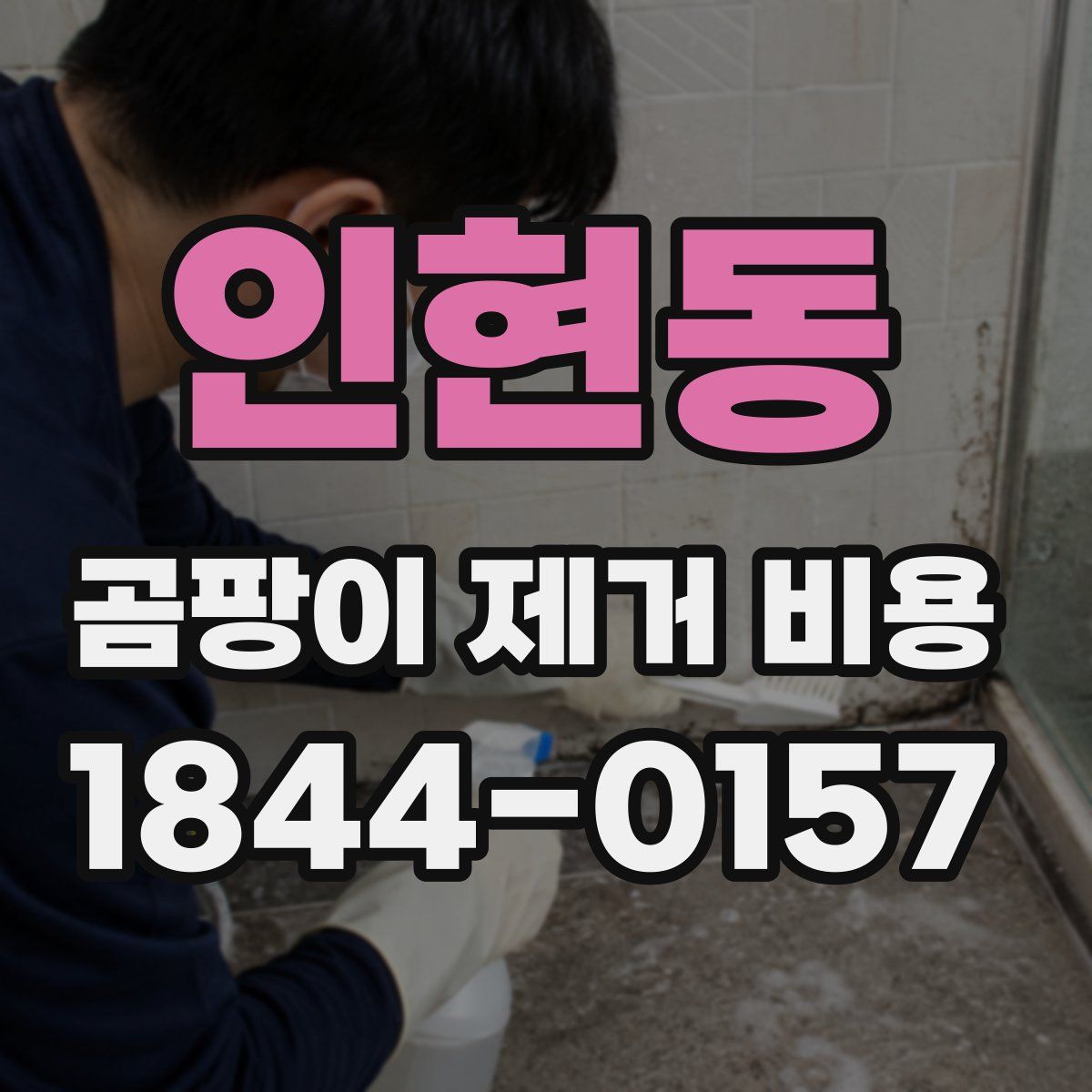 인현동 곰팡이 제거 비용
