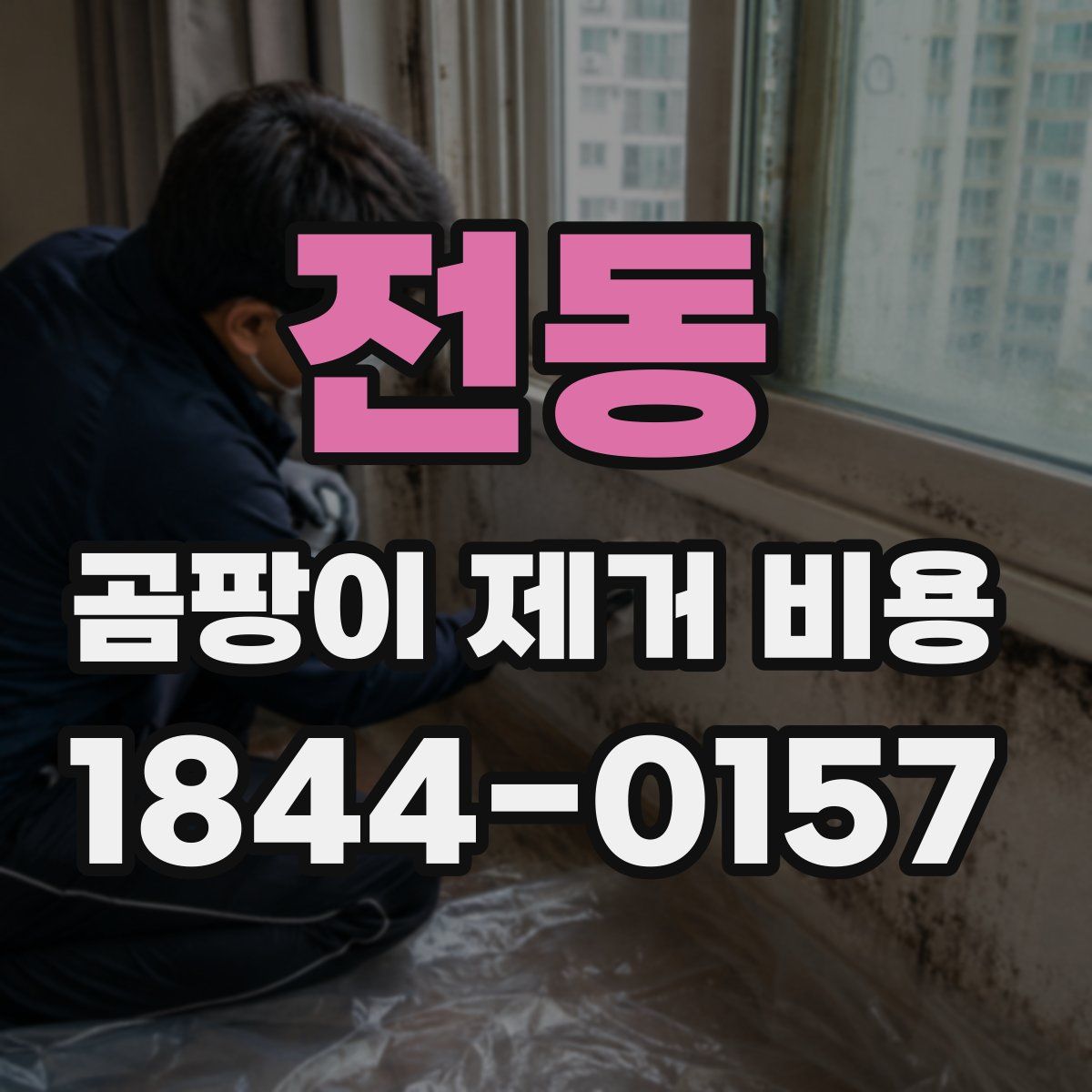 전동 곰팡이 제거 비용