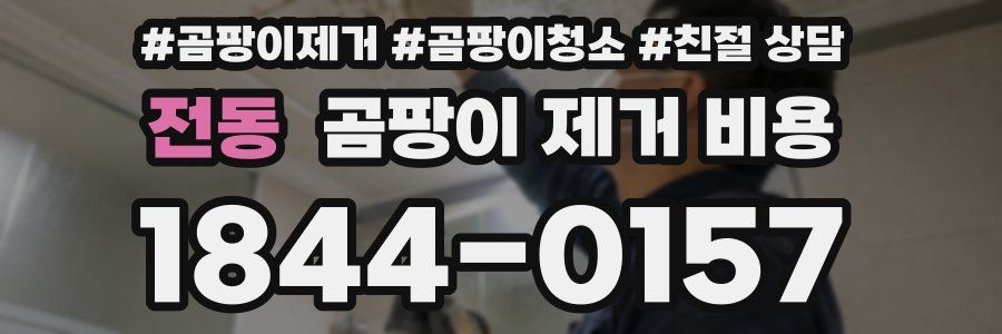 전동 곰팡이 제거 비용
