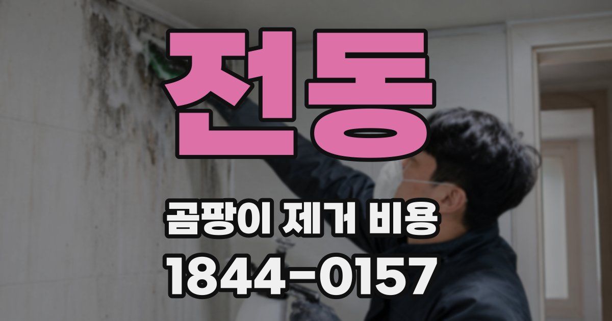 전동 곰팡이 제거 비용