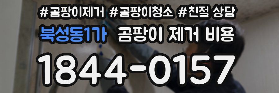 북성동1가 곰팡이 제거 비용