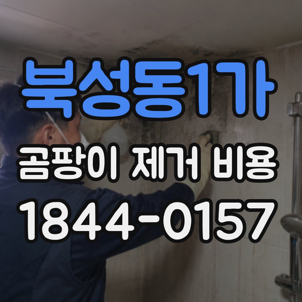 북성동1가 곰팡이 제거 비용