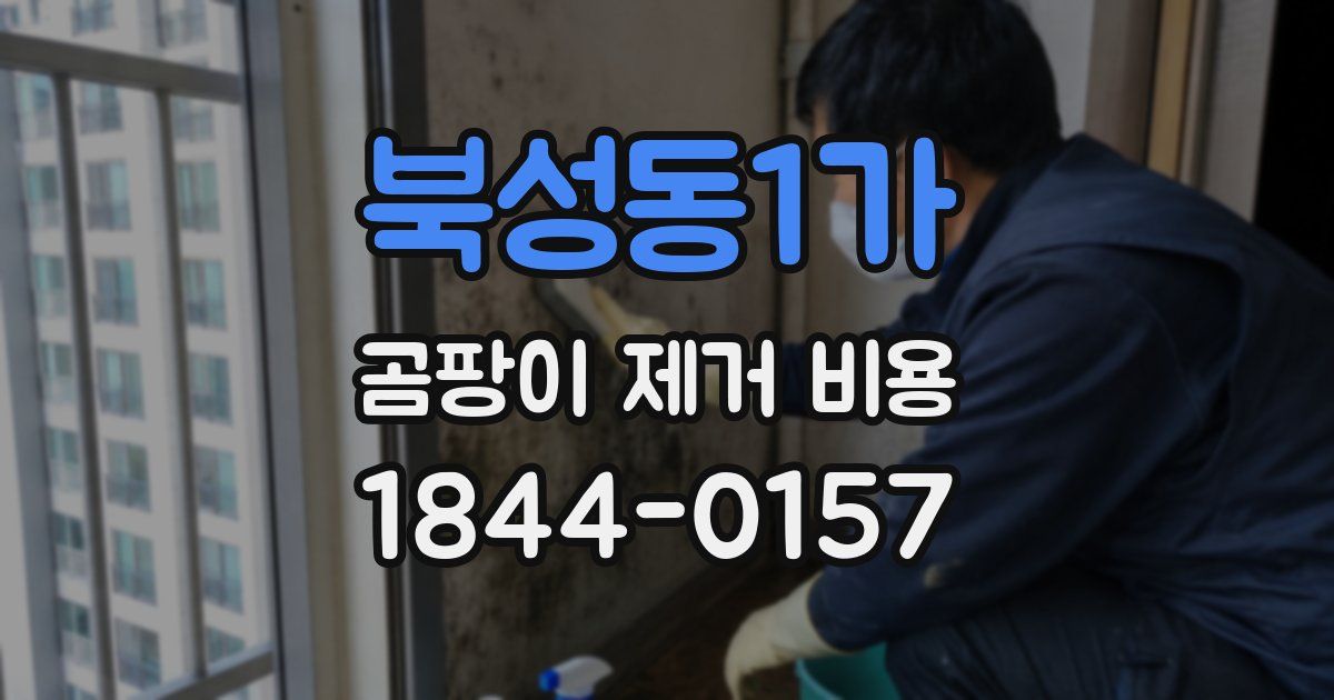 북성동1가 곰팡이 제거 비용