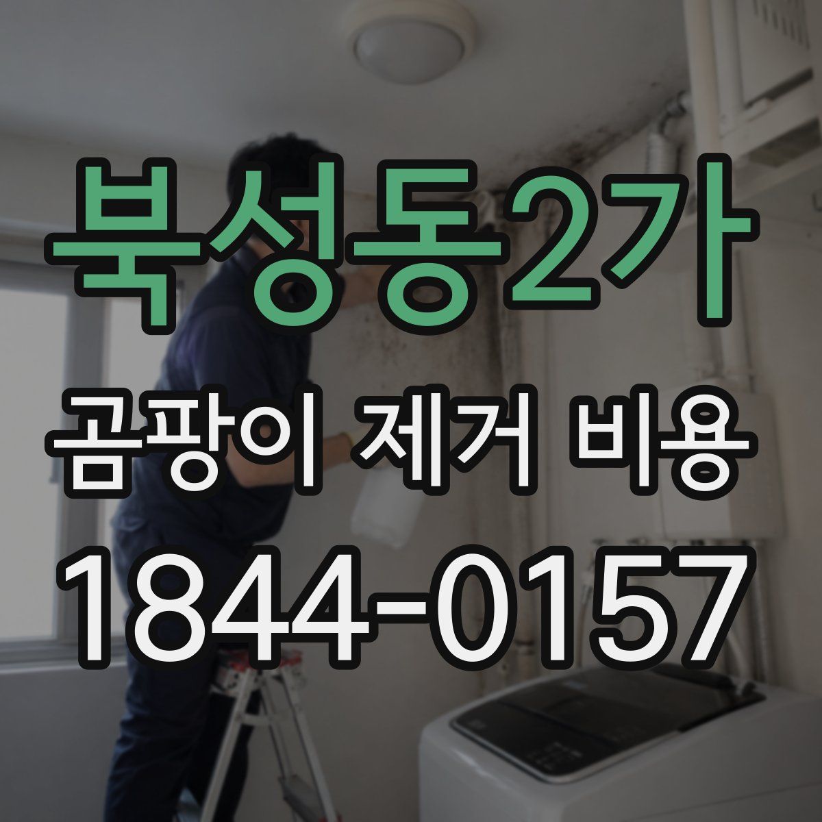 북성동2가 곰팡이 제거 비용