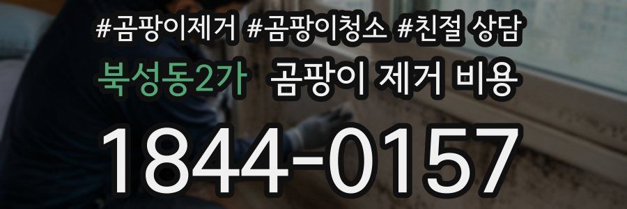 북성동2가 곰팡이 제거 비용
