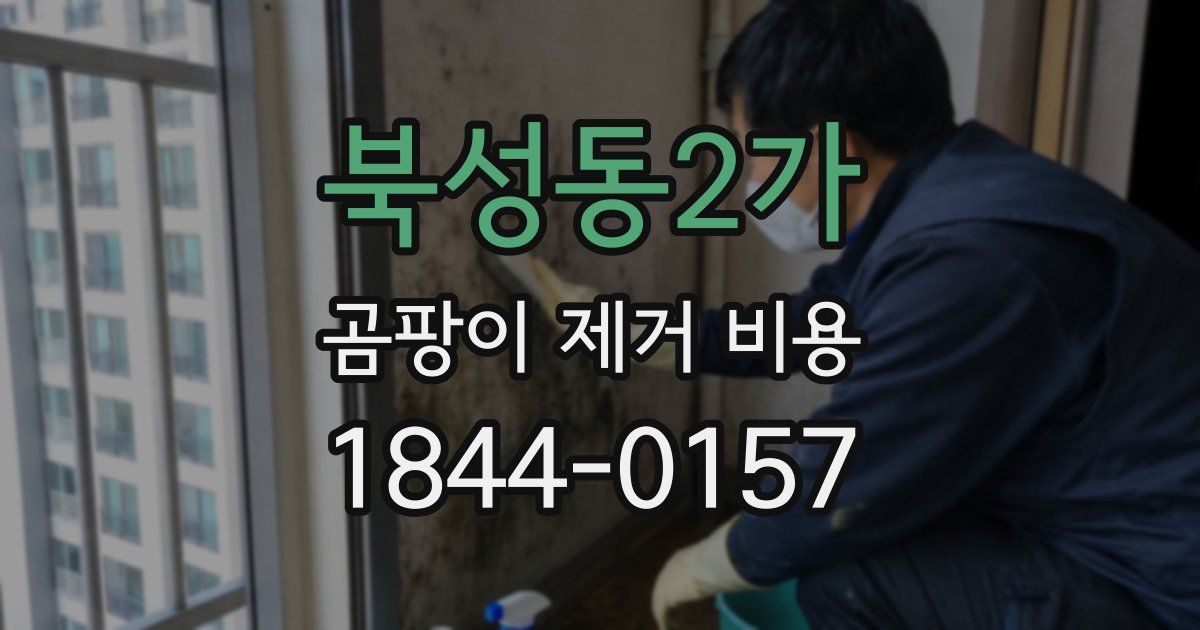 북성동2가 곰팡이 제거 비용