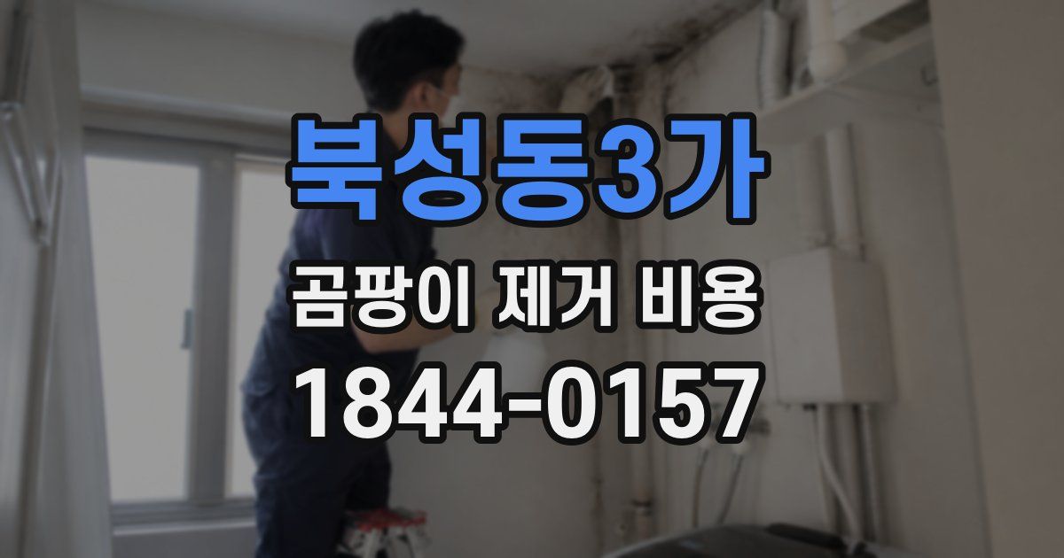 북성동3가 곰팡이 제거 비용