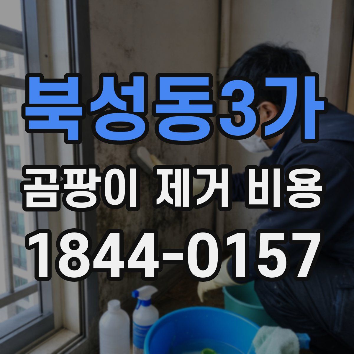 북성동3가 곰팡이 제거 비용