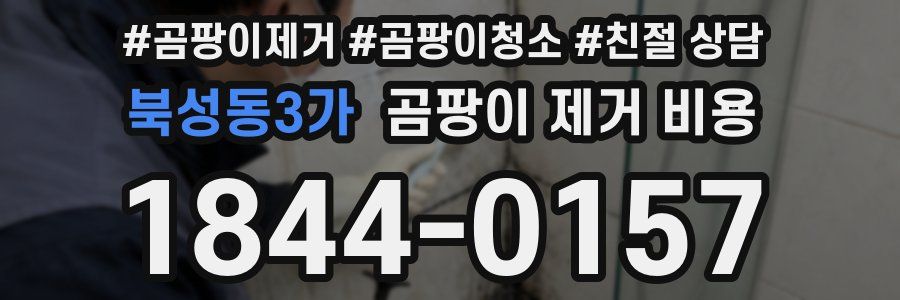 북성동3가 곰팡이 제거 비용