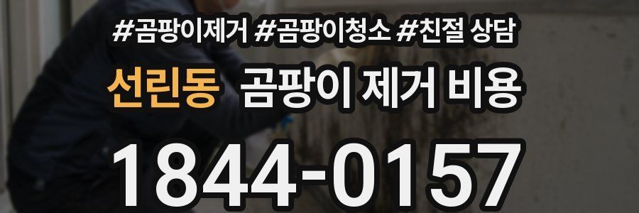 선린동 곰팡이 제거 비용