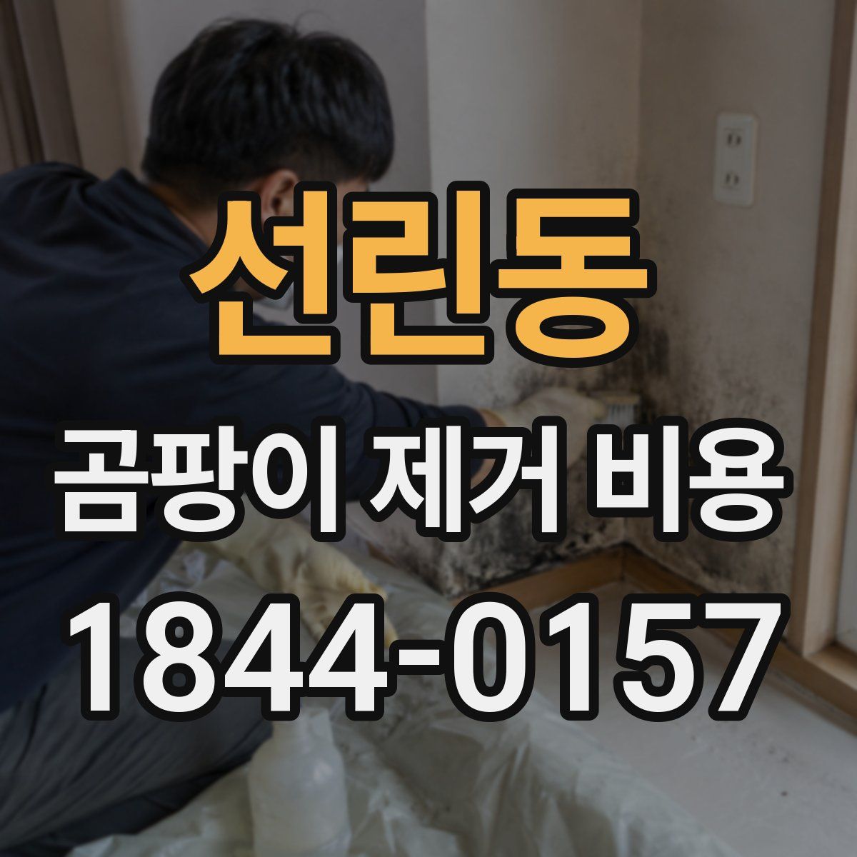 선린동 곰팡이 제거 비용