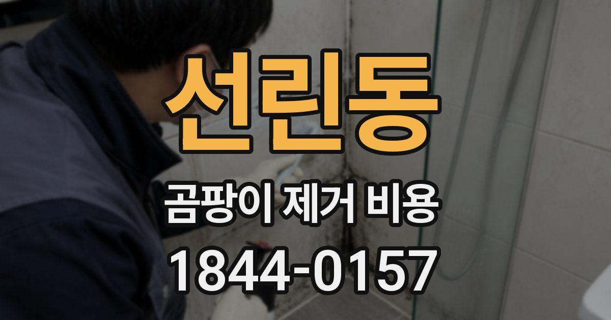선린동 곰팡이 제거 비용