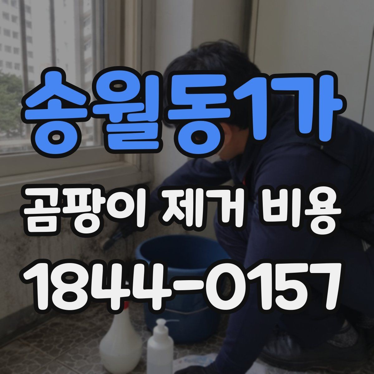 송월동1가 곰팡이 제거 비용 산정에 영향을 주는 요소